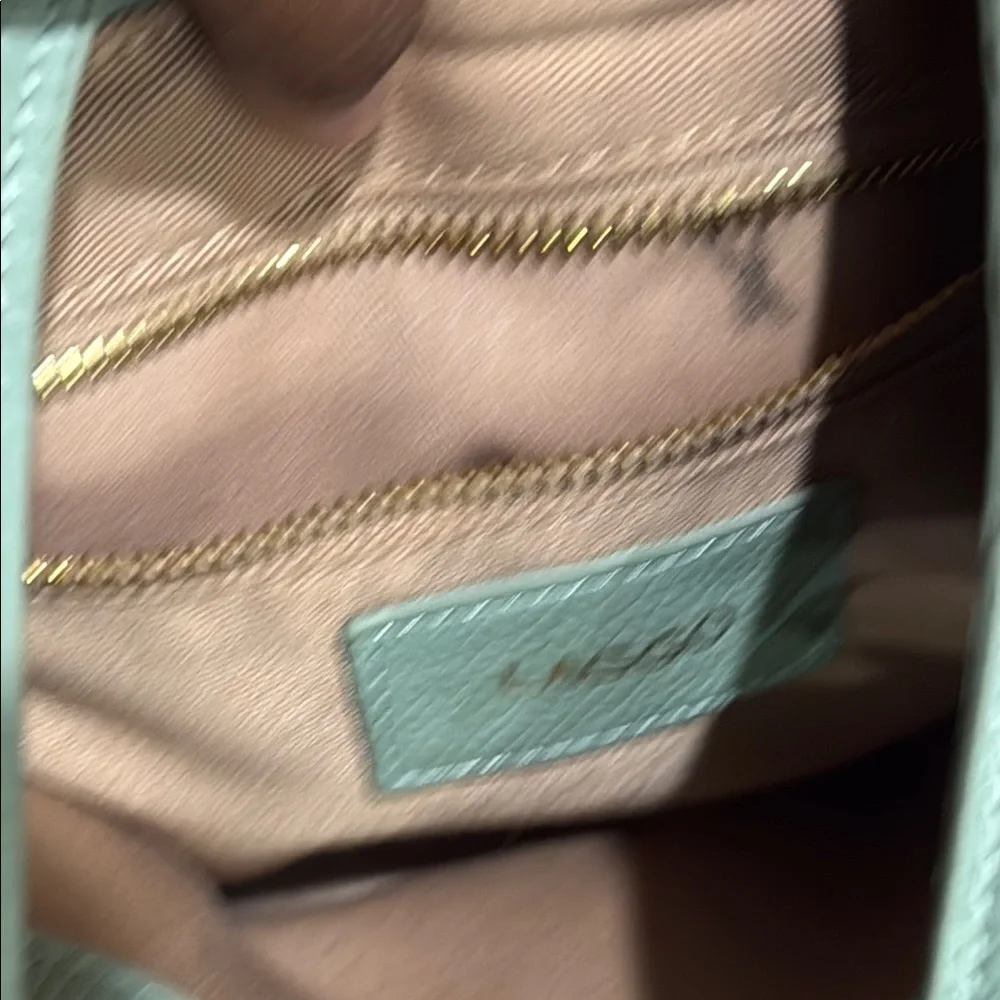 Lagoo leather mint green Hobo Bag with gold hardware